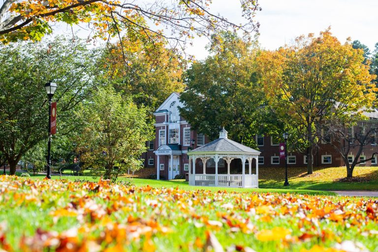 Western New England University