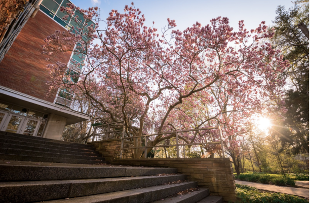 Đại học bang Michigan