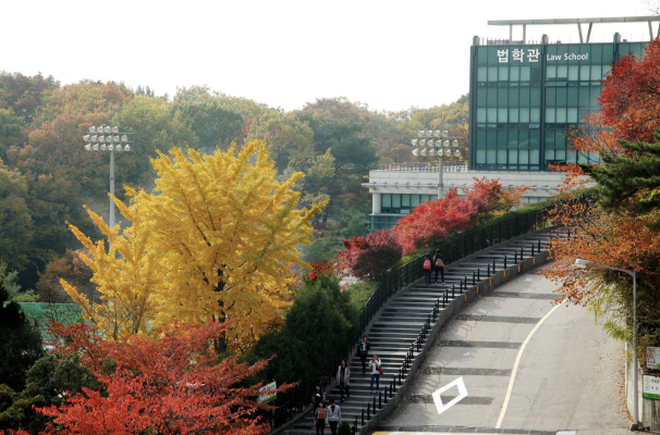  Đại học Sungkyunkwan 